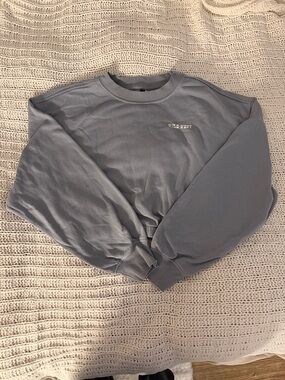 Cropped Crewneck Sweatshirt - Light Blue Gray